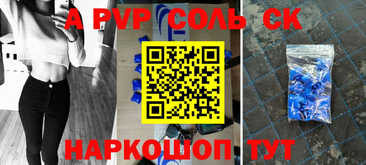 Альфа ПВП СК Великий Новгород
